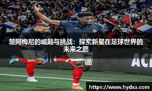 mk体育